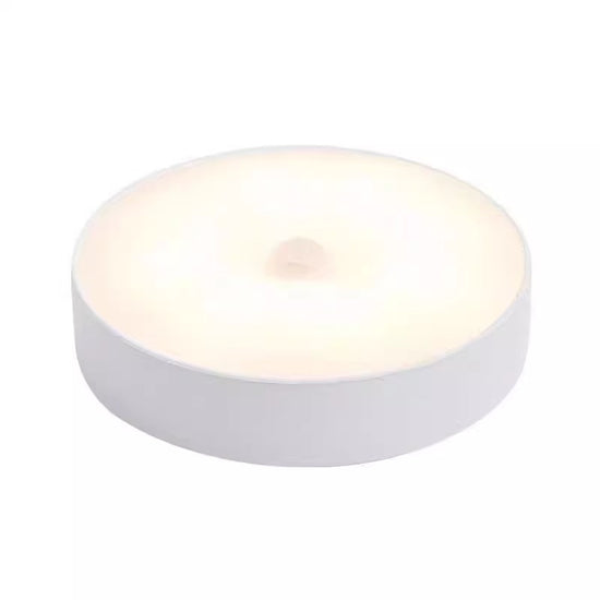 Automatic Motion Sensor Night Light